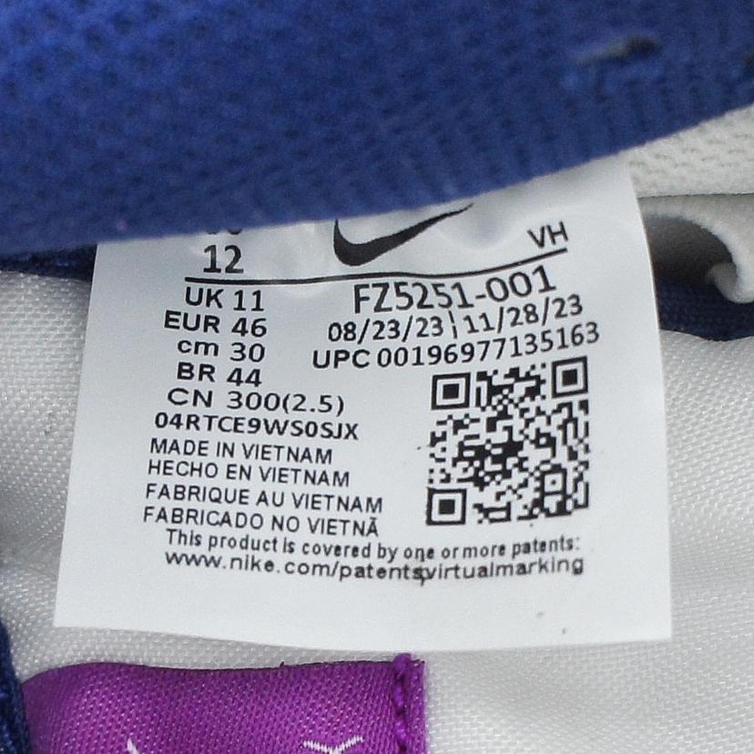 NIKE ナイキ/NIKE ナイキ SB DUNK LOW PRM RL /FZ5251-001//ABランク/70