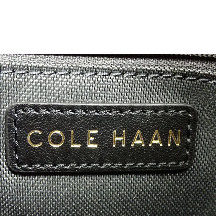 COLE HAAN コールハーン/カミラ ホーボーバッグ/U07111//Aランク/62
