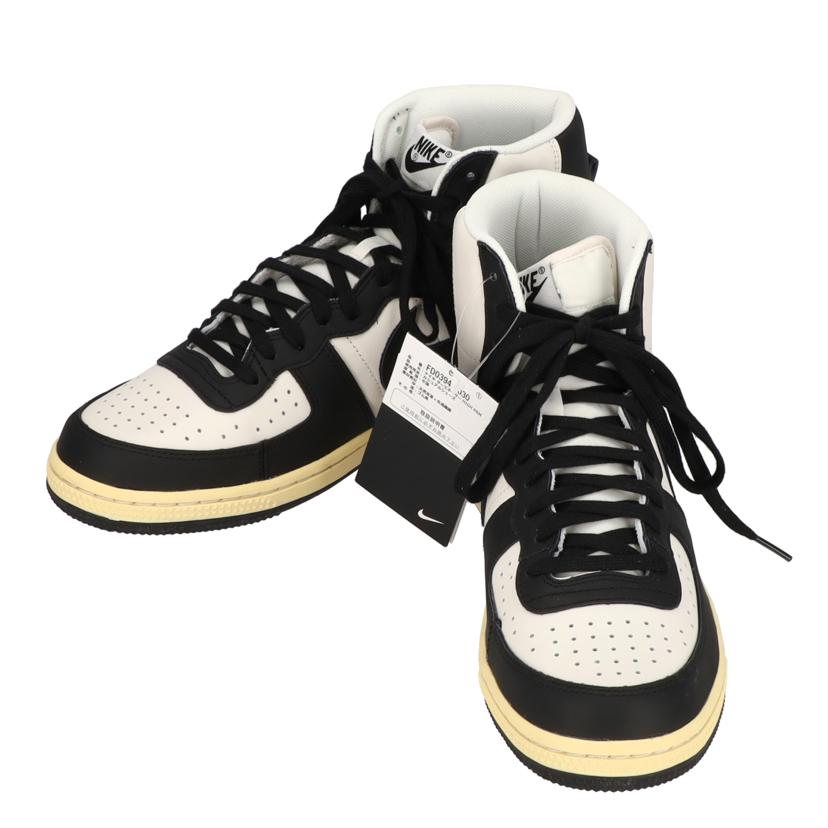NIKE ナイキ/ターミネーターHIプレミアム/FD0394-030//SAランク/09