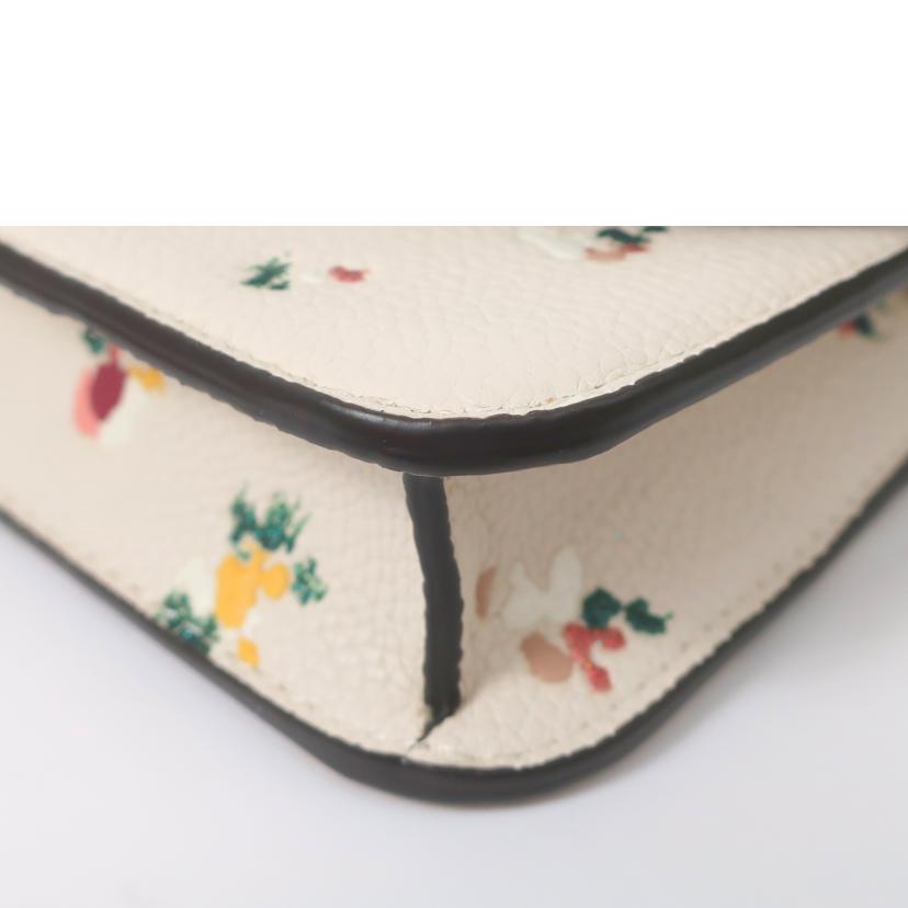 COACH コーチ/クロスボディ ウィズ ペイント ダブ フローラルプリント/ストラップ無し イニシャル有/C5363//Aランク/65