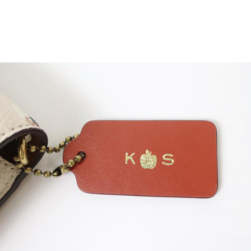 COACH コーチ/クロスボディ ウィズ ペイント ダブ フローラルプリント/ストラップ無し イニシャル有/C5363//Aランク/65