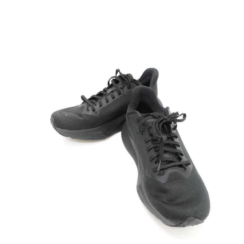 THE NORTH FACE ノースフェイス/アルタメア300ロード/NF02505//ABランク/88
