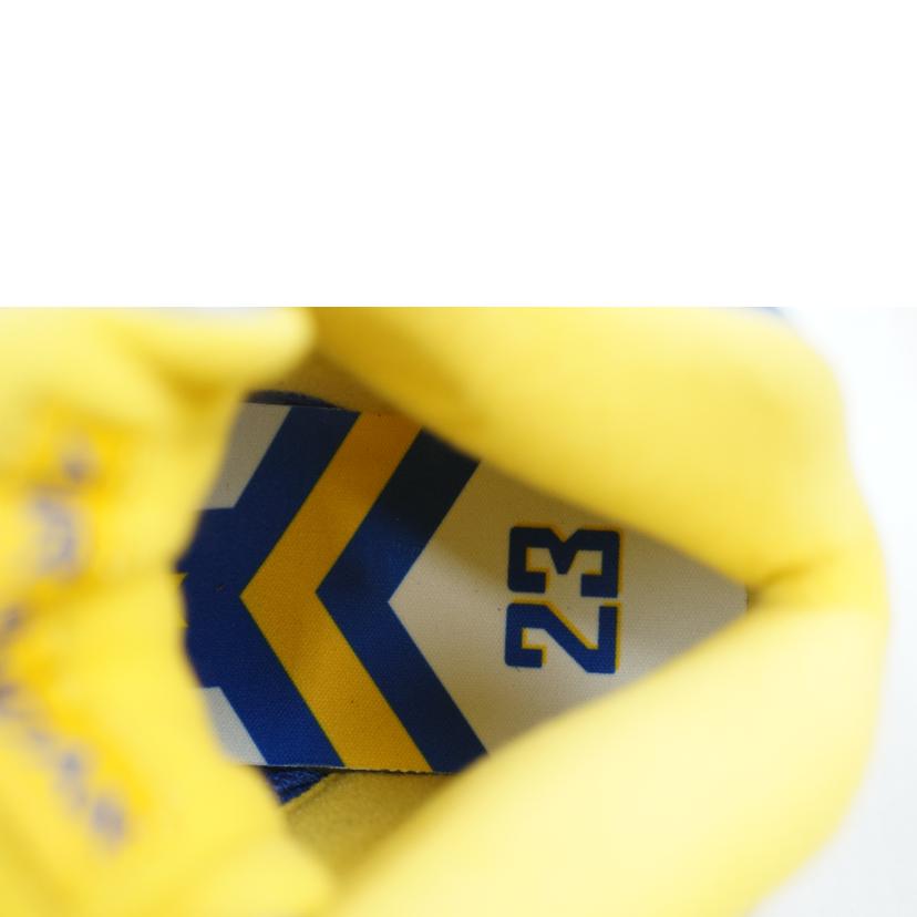 NIKE ナイキ/NIKE AIR JORDAN 5 LANEY JSP 26.5/CD2720-400//Aランク/67
