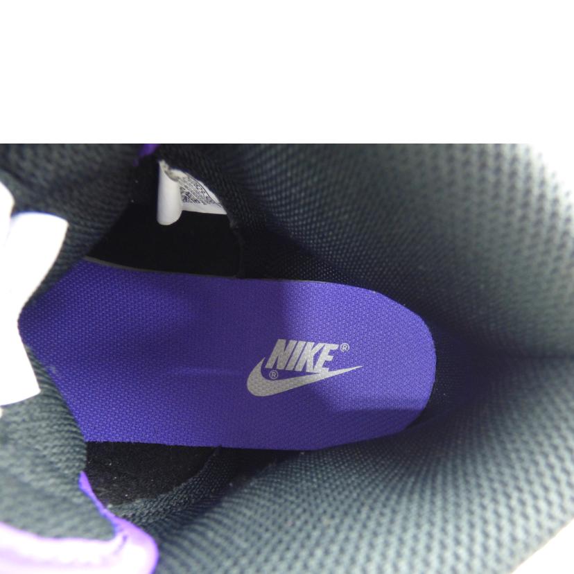 NIKE ナイキ/DUNK HI RETRO BTTYS/DV0829-500//ABランク/64