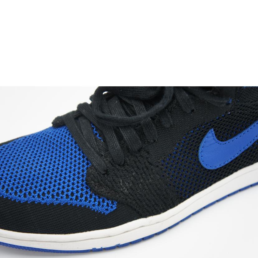 NIKE ナイキ/AIRJORDAN1 RETROHI フライニット/919704-006//Aランク/09