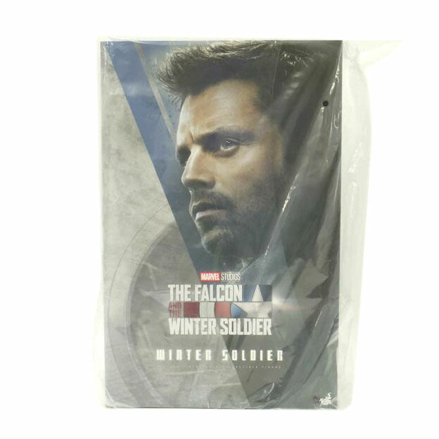 HOT TOYS ホットトイズ/ウィンター・ソルジャー 「ファルコン&ウィンター・ソルジャー」 テレビマスターピース 1/6アクションフィギュア//Sランク/69