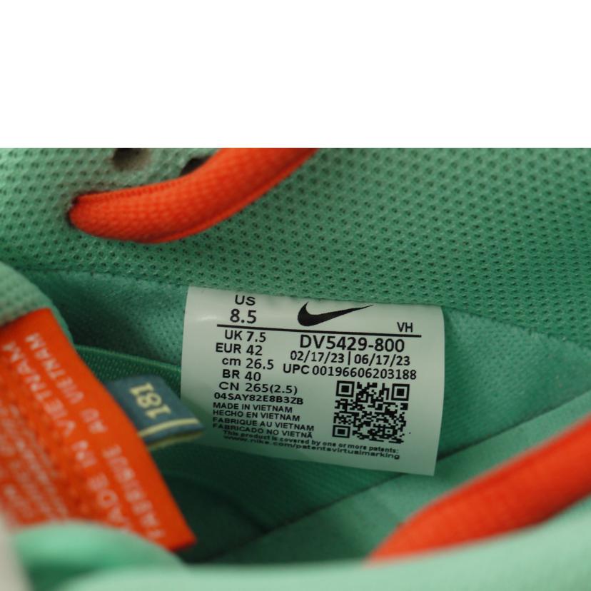 NIKE ナイキ/ダンクLOW PRM/DV5429-800//Sランク/69