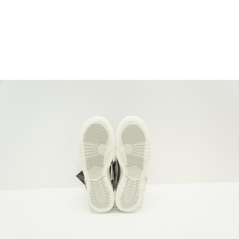 NIKE NIKE/ダンク ロー GORE-TEX/HQ2053-002//00198482413958/Aランク/85