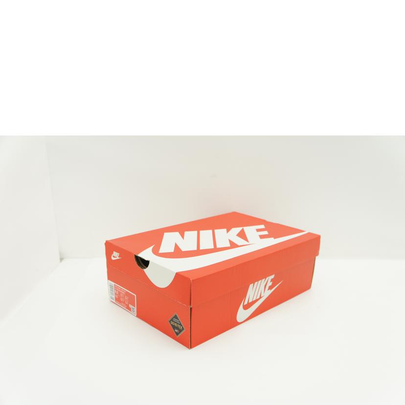 NIKE NIKE/ダンク ロー GORE-TEX/HQ2053-002//00198482413958/Aランク/85
