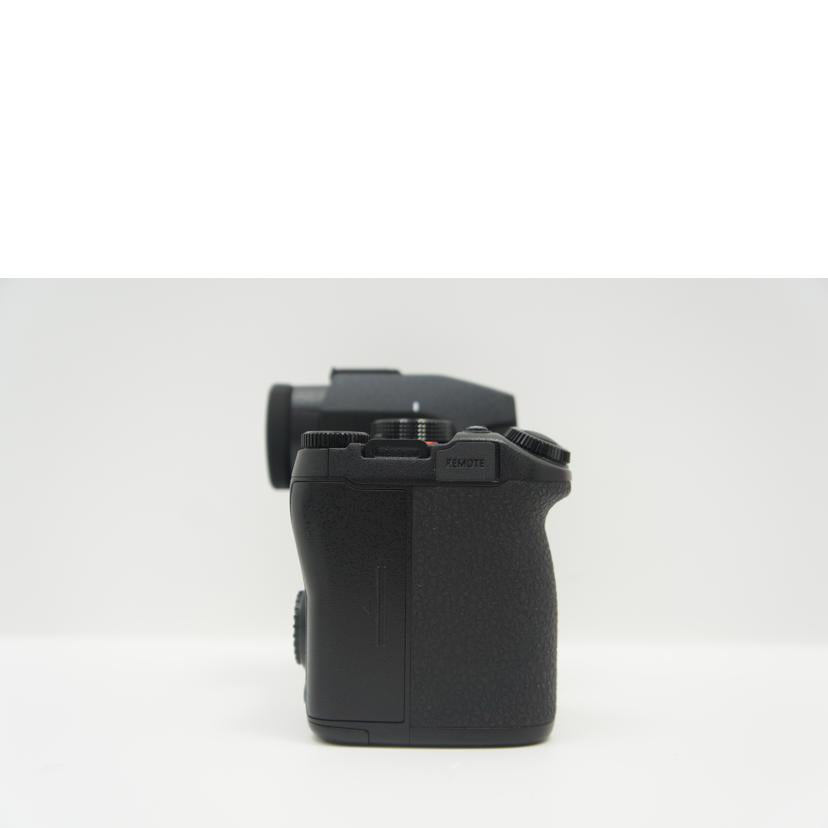 LUMIX ルミックス/ミラーレス一眼/DC-G9M2 ボディ/DC-G9M2 ボディ//WE3JA001193/Aランク/75
