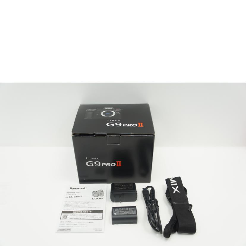 LUMIX ルミックス/ミラーレス一眼/DC-G9M2 ボディ/DC-G9M2 ボディ//WE3JA001193/Aランク/75
