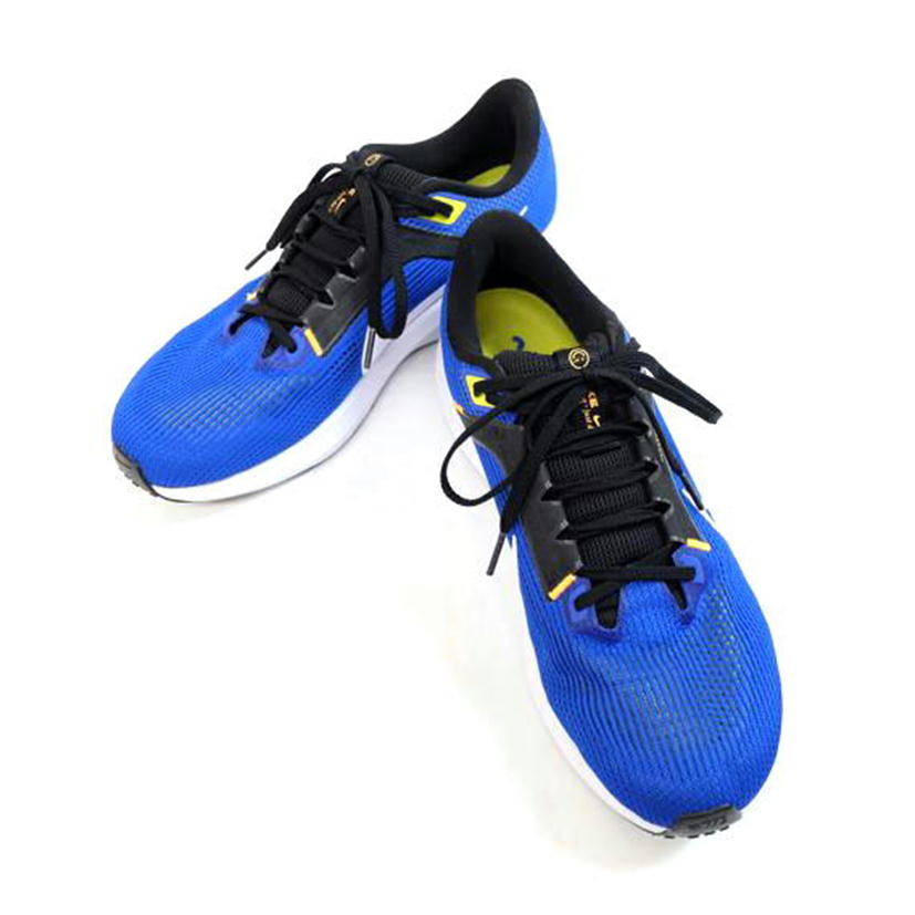 NIKE ナイキ/エアズームペガサス 40/DV3853-401//Bランク/71