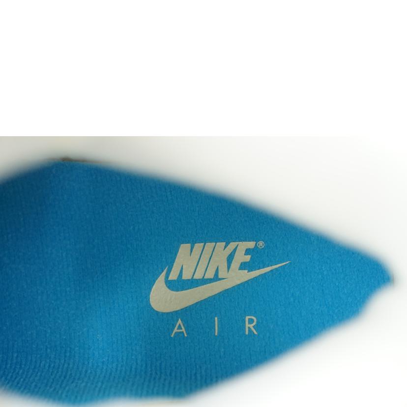 NIKE ナイキ/NIKE WMS AIR JORDAN RETRO2 29.0/DX4400-100//Aランク/67