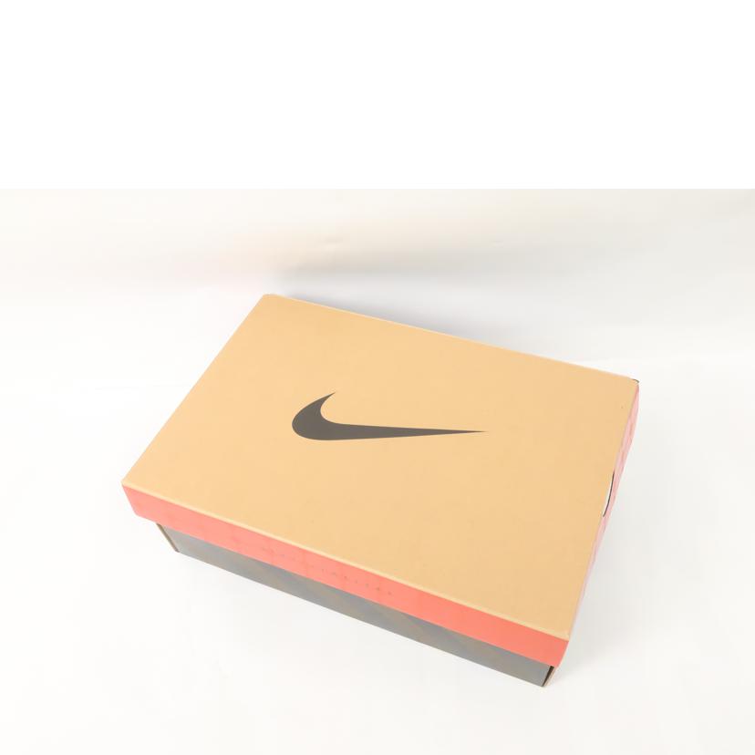 NIKE ナイキ/ウィメンズ ダンクロー シーズナルエディション"ズームボメロ 28.5cm WMNS Dunk Low SE グレーフォグ パーティークルグレーピュアプラチナ/FJ5473-099//SAランク/65