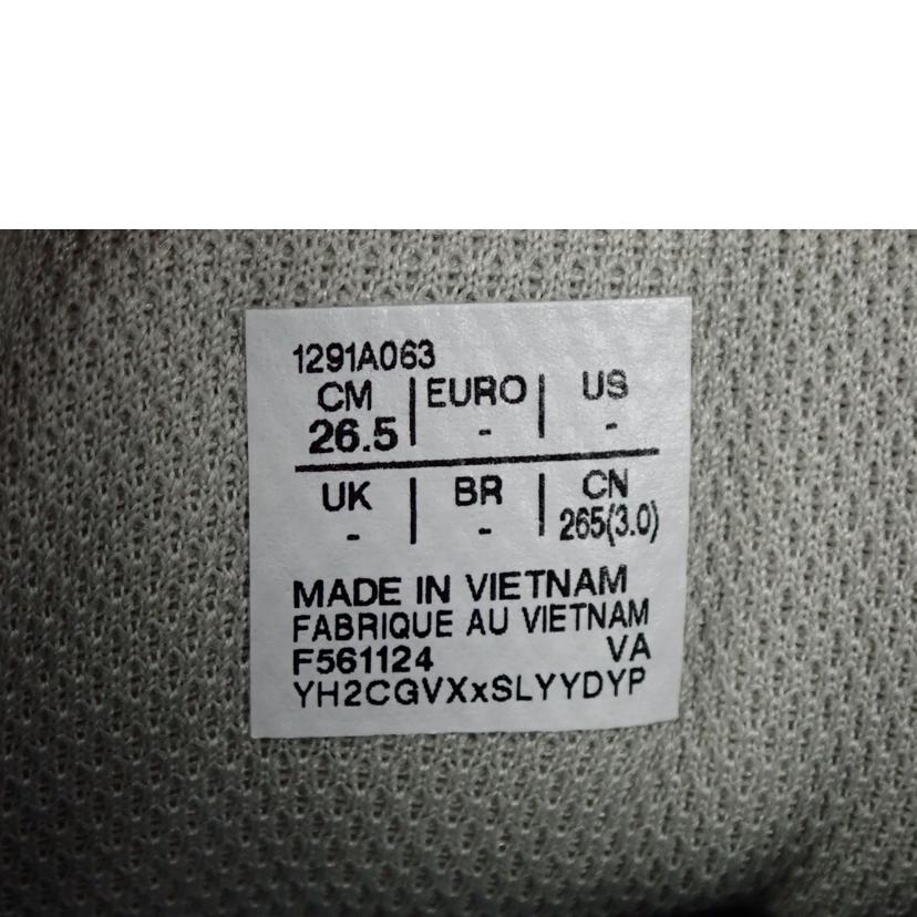 asics アシックス/asics HADASHI WALKER GTX M063/1291A063-020//26.5cm/Sランク/62