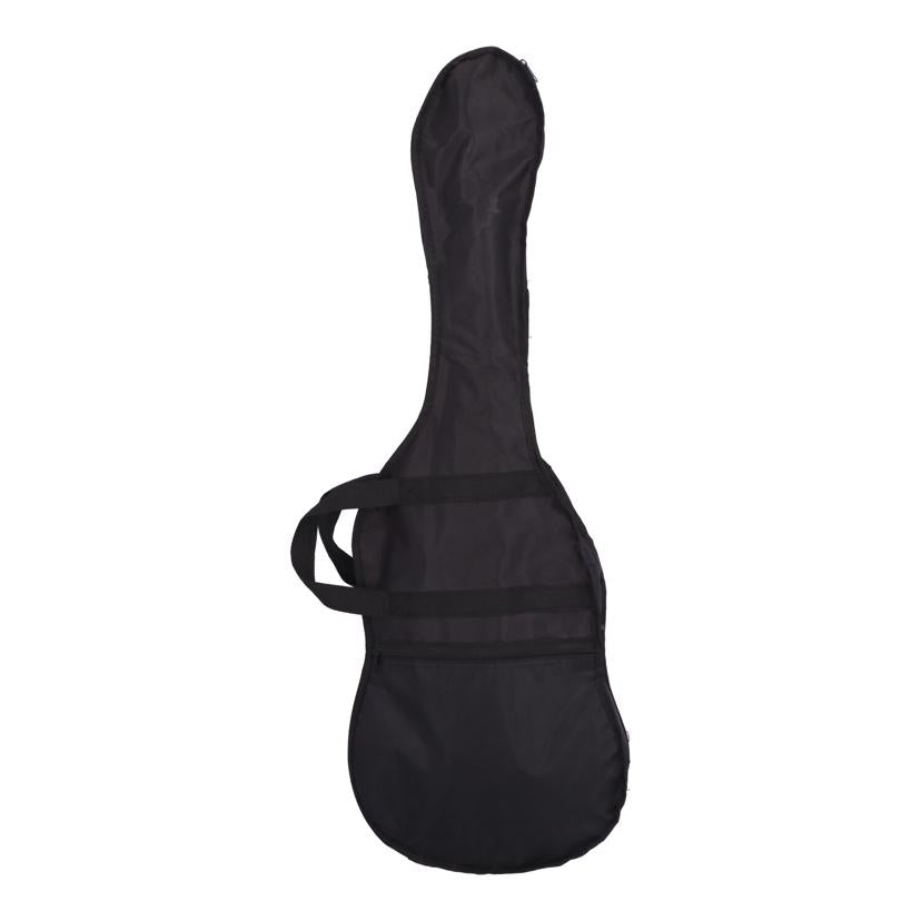 PLAYTECH プレイテック/エレキギター/LP-500 PREMIUM F-Hole//-/Aランク/71