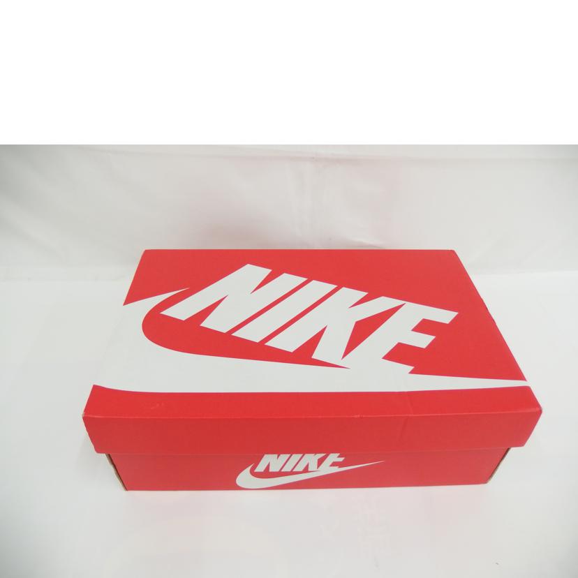 NIKE/NIKE ZOOM VOMERO 5 SE/FZ3653-104//Aランク/82