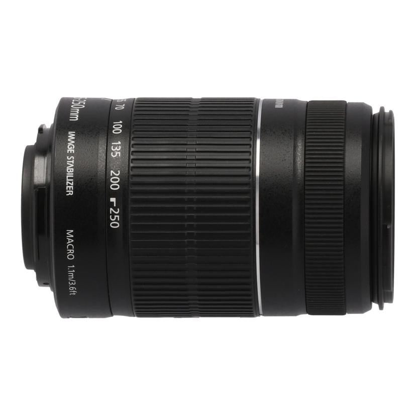 Canon キャノン/交換レンズ/EF-S 55-250mm F4-5.6 IS STM//Cランク/85