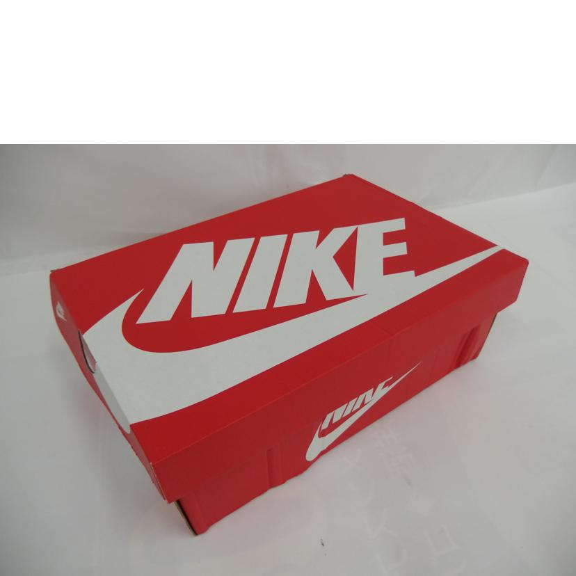 NIKE ナイキ/Nike Dunk Low "Airbrush Swoosh"/FD6923-001//Aランク/82