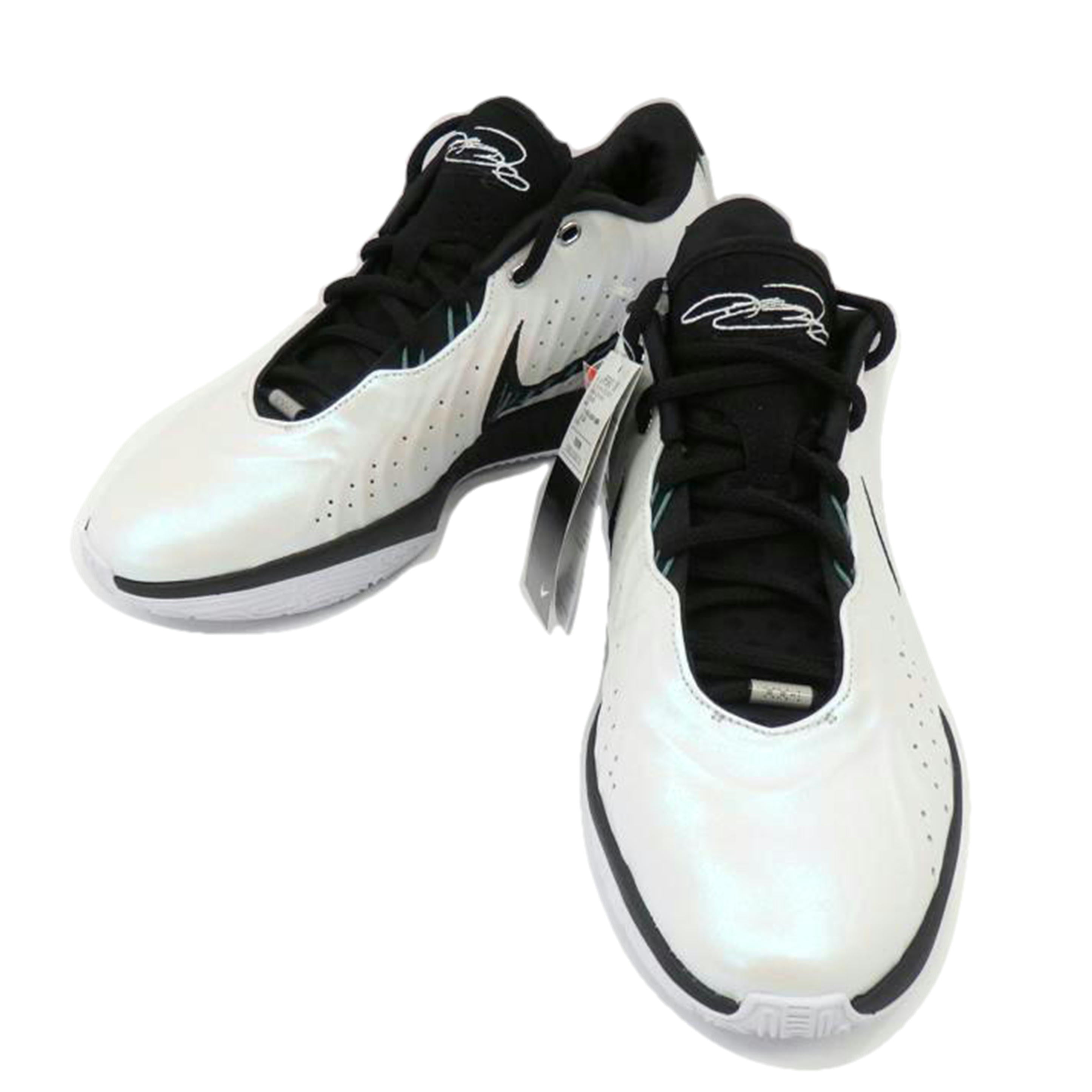 NIKE ナイキ/レブロン21 コンキオリンEP/HF5842-100//SAランク/77