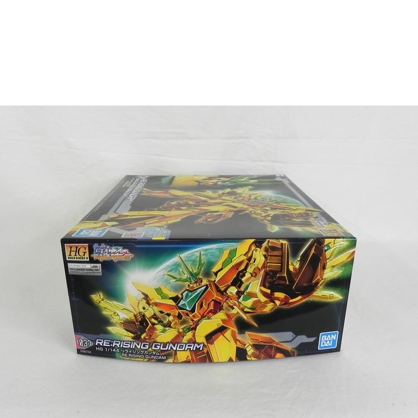 BANDAI バンダイ/HG 1/144 リライジングガンダム/ガンダムビルドダイバーズ//Aランク/81