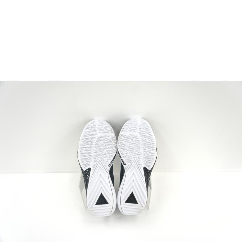 NIKE ナイキ/Zoom Freak 5/DX4996-003//ABランク/75