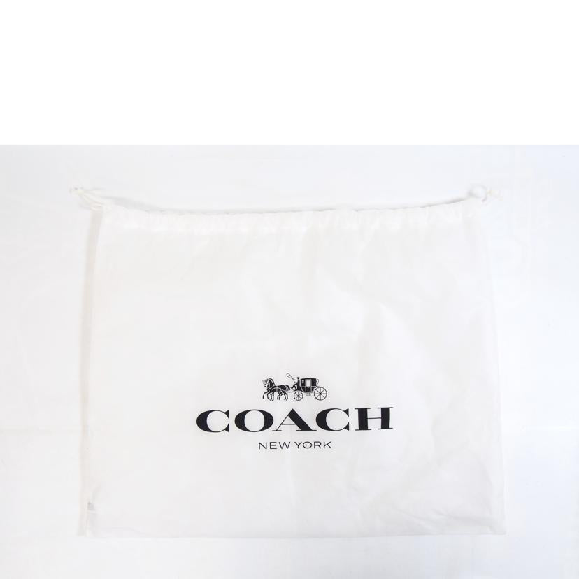 COACH コーチ/レザーペースバックパック/CR100//G24**/ABランク/71