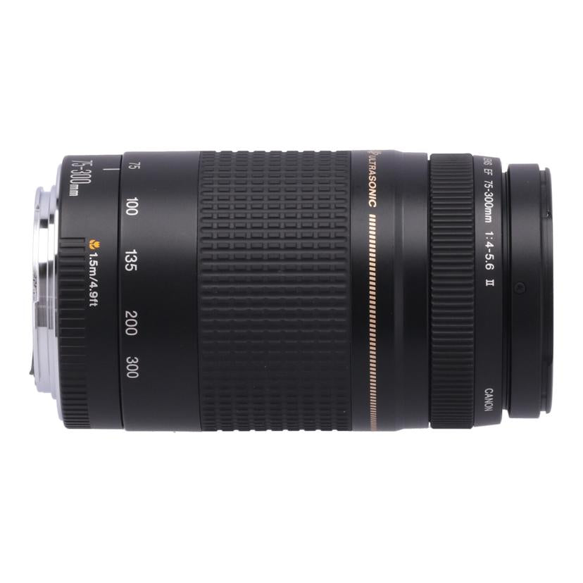 Canon キヤノン /交換レンズ/75-300mm/EF 75-300mm F 4-5.6 II USM//0701513D/Bランク/84