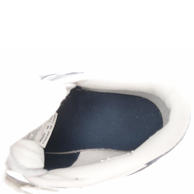 NIKE ナイキ/NIKE terminator LOW/FN6830-001//ABランク/69