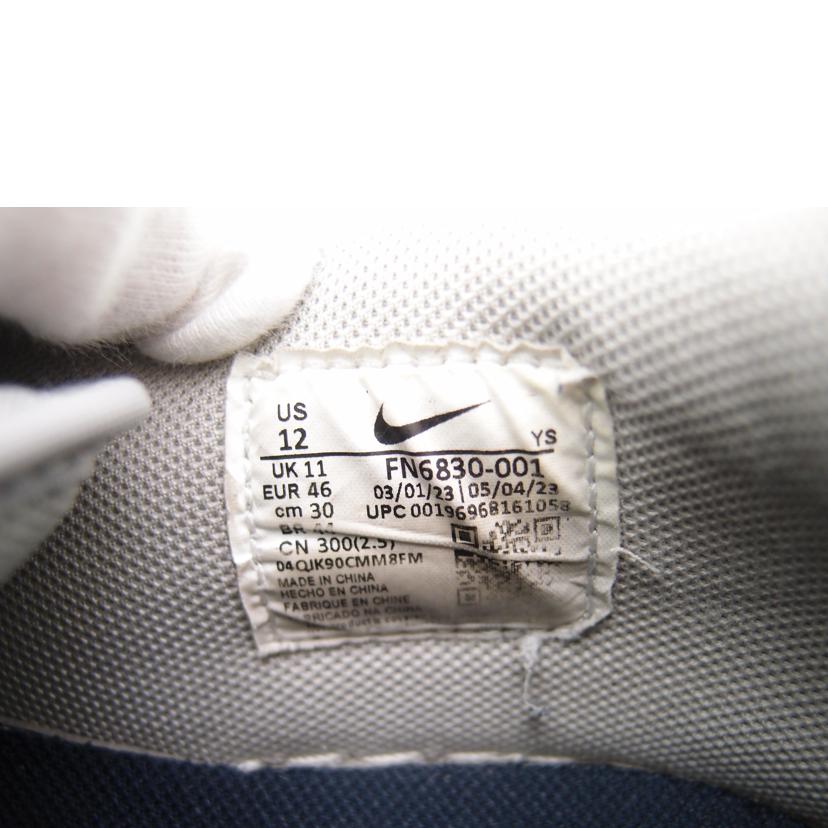 NIKE ナイキ/NIKE terminator LOW/FN6830-001//ABランク/69