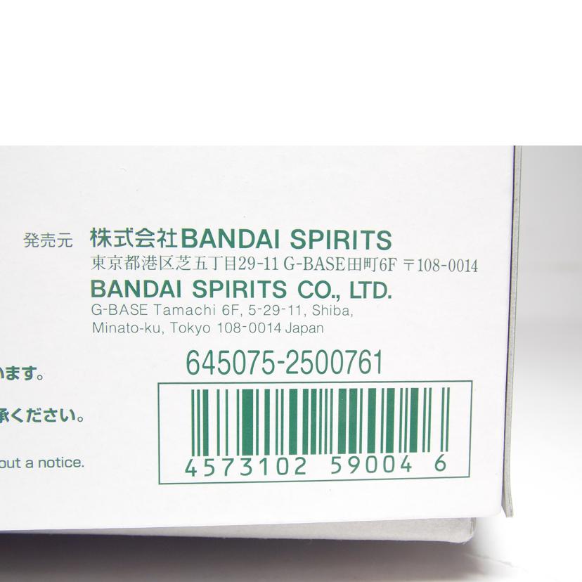 BANDAI バンダイ/MG/ブラストインパルスガンダム//ABランク/42