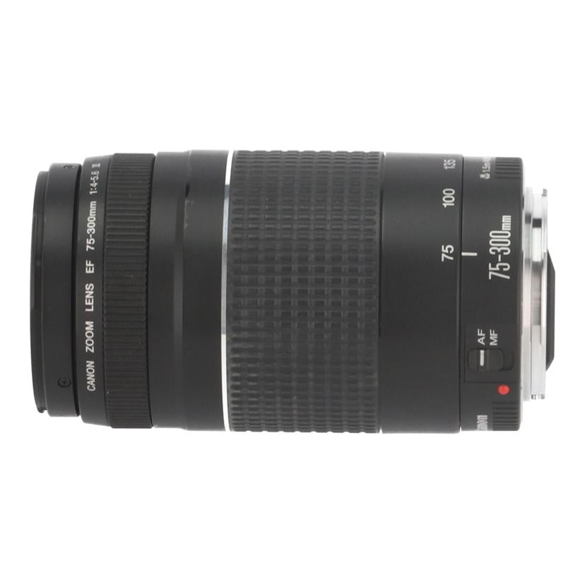 Canon キヤノン/交換レンズ/75-300mm/EF75-300mm F4-5.6 III USM //29617603/Bランク/09