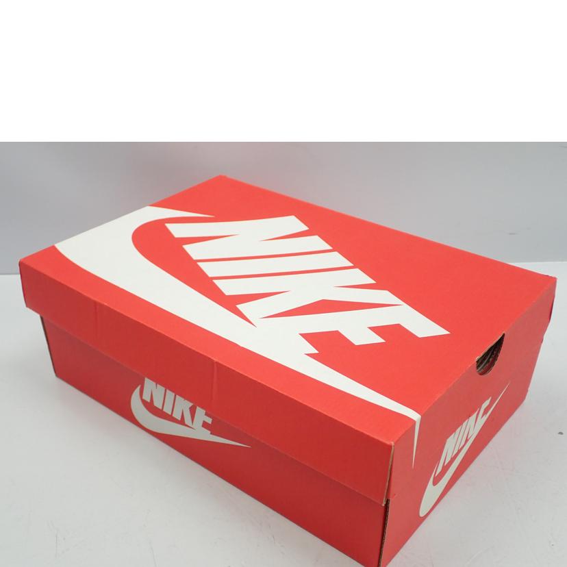 NIKE ナイキ/NIKE DUNK LOW SE/FJ4610-702//28.5cm/Aランク/62