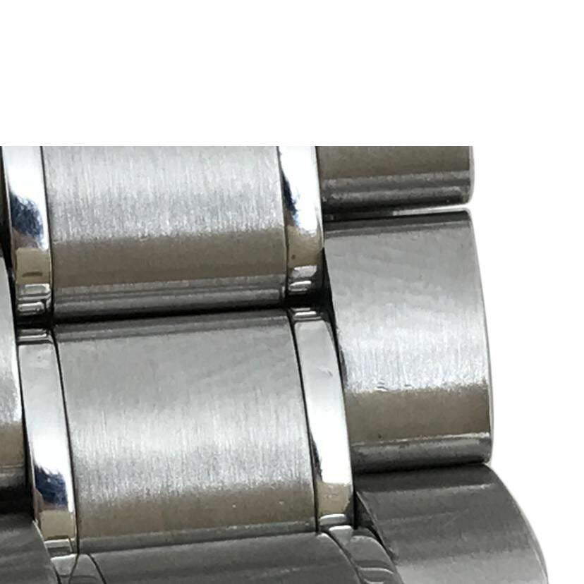 OMEGA オメガ/シーマスタープロフェショナル300/168.1640//810*****/ABランク/51