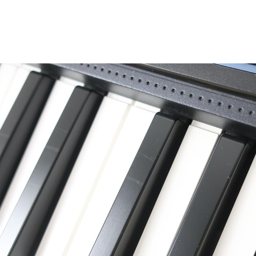 CASIO カシオ/電子キーボード 61鍵盤 タッチレスポンス対応/CT-S300//877ADC10J007721AAC/ABランク/65