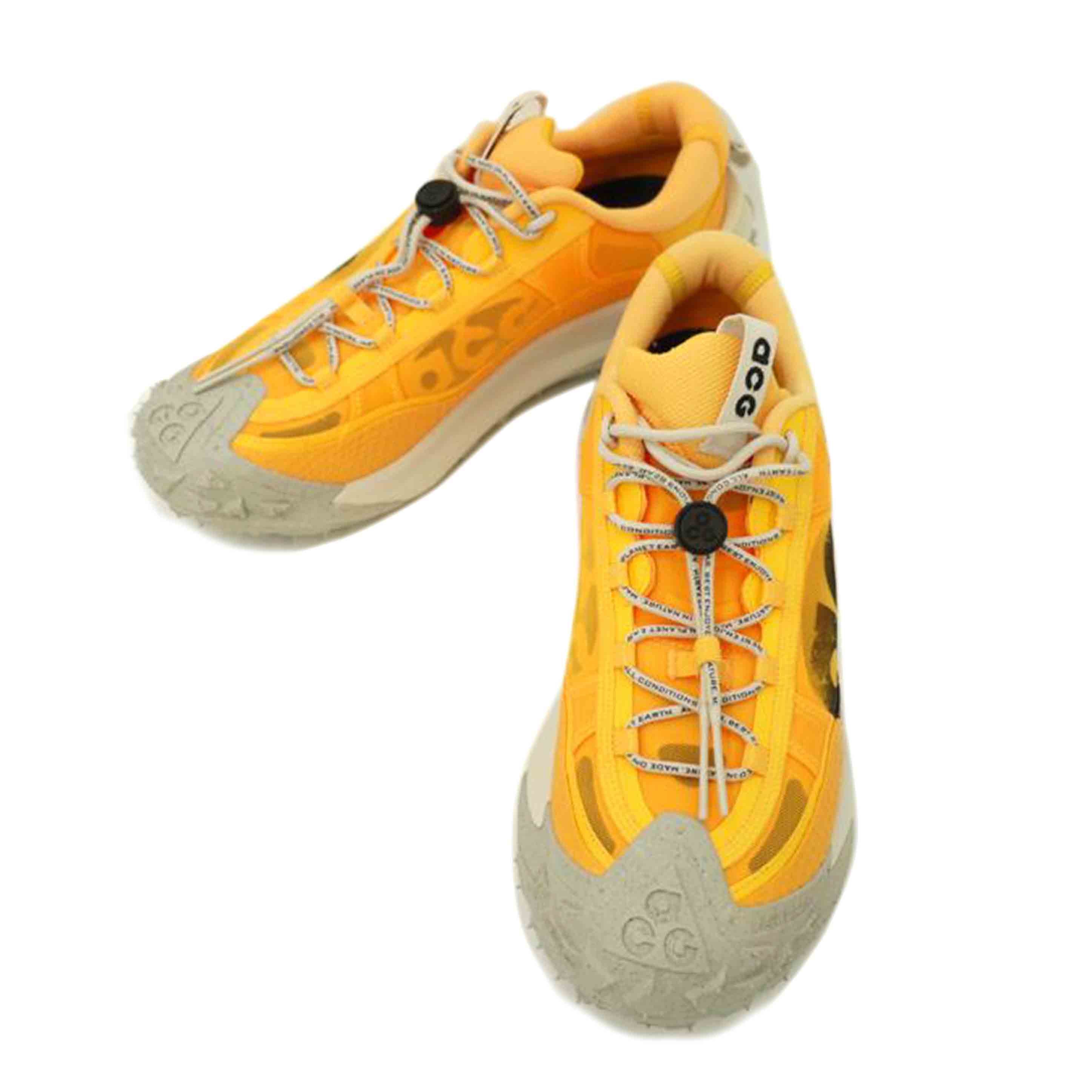 NIKE ナイキ/NIKE MOUNTAIN FLY 2 LOW/DV7903-800//SAランク/69