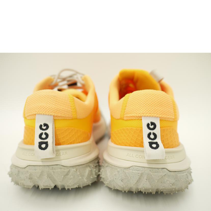 NIKE ナイキ/NIKE MOUNTAIN FLY 2 LOW/DV7903-800//SAランク/69