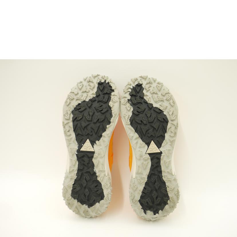 NIKE ナイキ/NIKE MOUNTAIN FLY 2 LOW/DV7903-800//SAランク/69