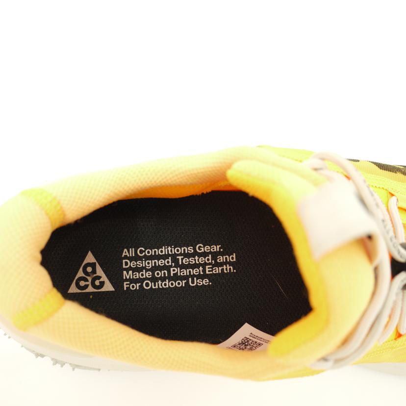 NIKE ナイキ/NIKE MOUNTAIN FLY 2 LOW/DV7903-800//SAランク/69