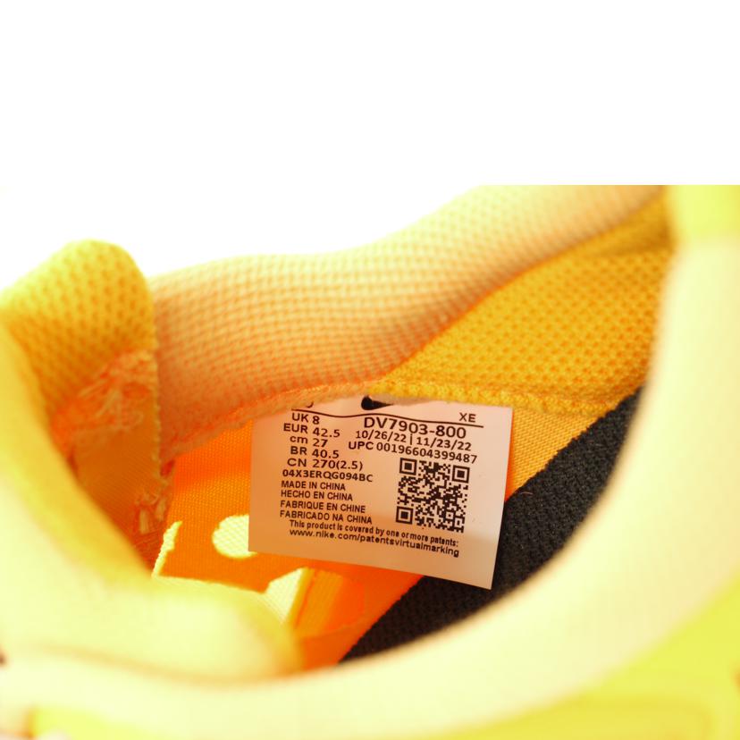 NIKE ナイキ/NIKE MOUNTAIN FLY 2 LOW/DV7903-800//SAランク/69