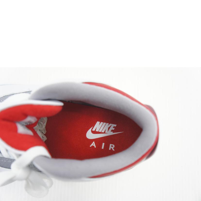 NIKE ナイキ/AIRJORDAN3 RETRO/DN3707-160//Aランク/09