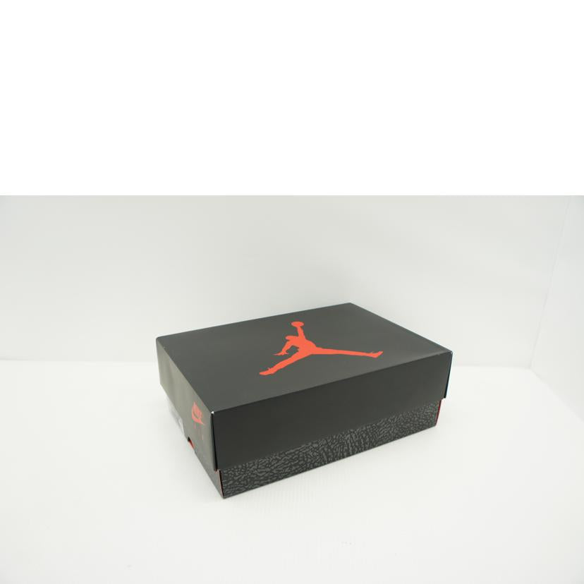 NIKE ナイキ/AIRJORDAN3 RETRO/DN3707-160//Aランク/09