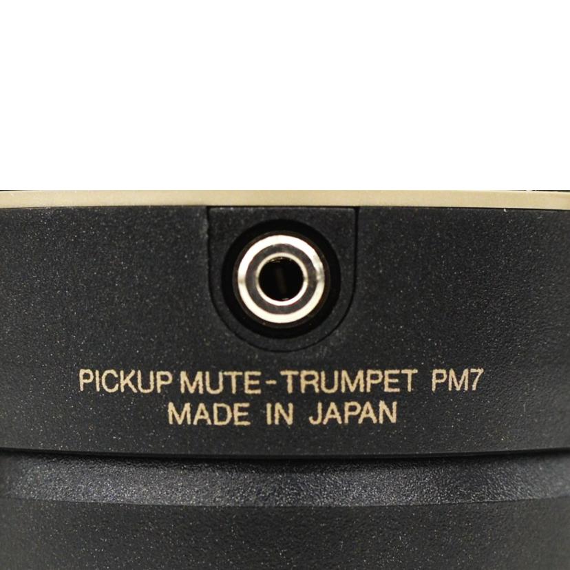 YAMAHA ヤマハ/サイレントブラス/PM7 ST9//ABランク/75