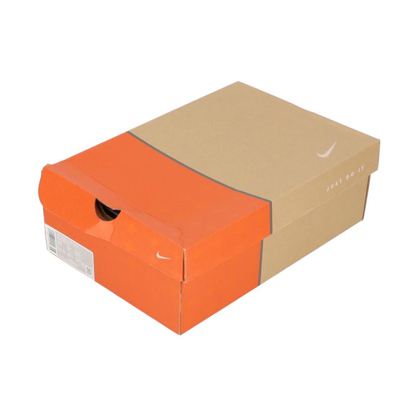 NIKE ナイキ/AIR FORCE 1 LOW RETRO/DJ3911-102//Aランク/09