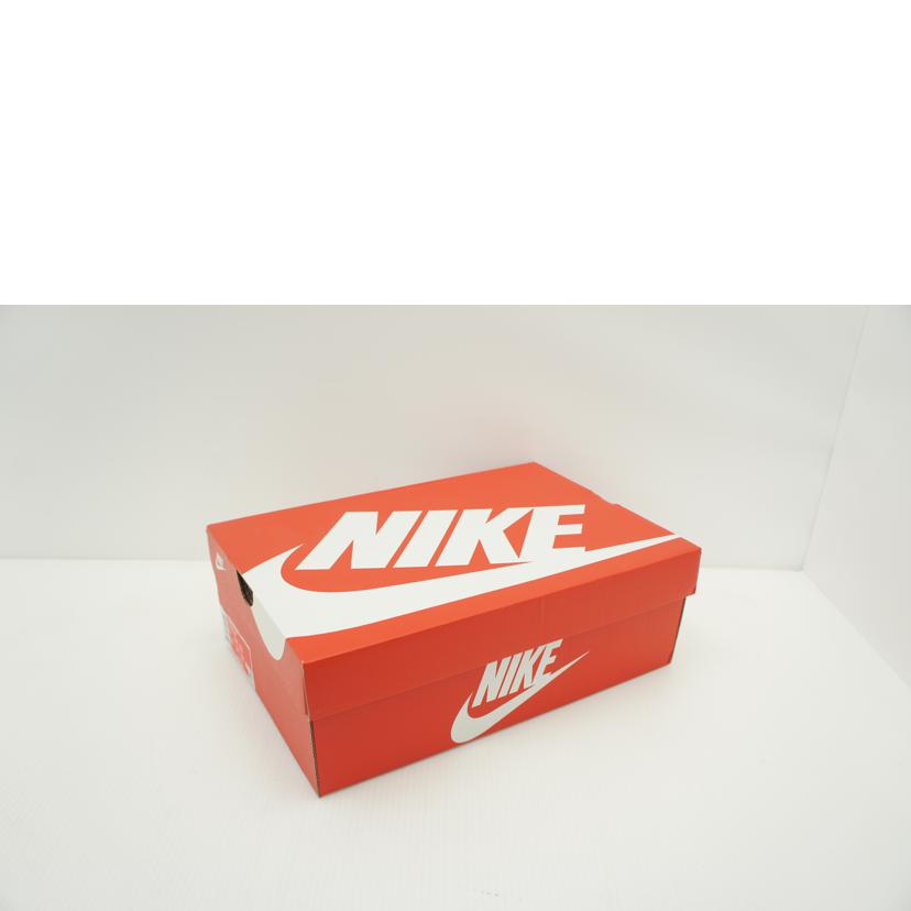 NIKE ナイキ/WMNS DUNK LOW /DX3374-700//Aランク/09