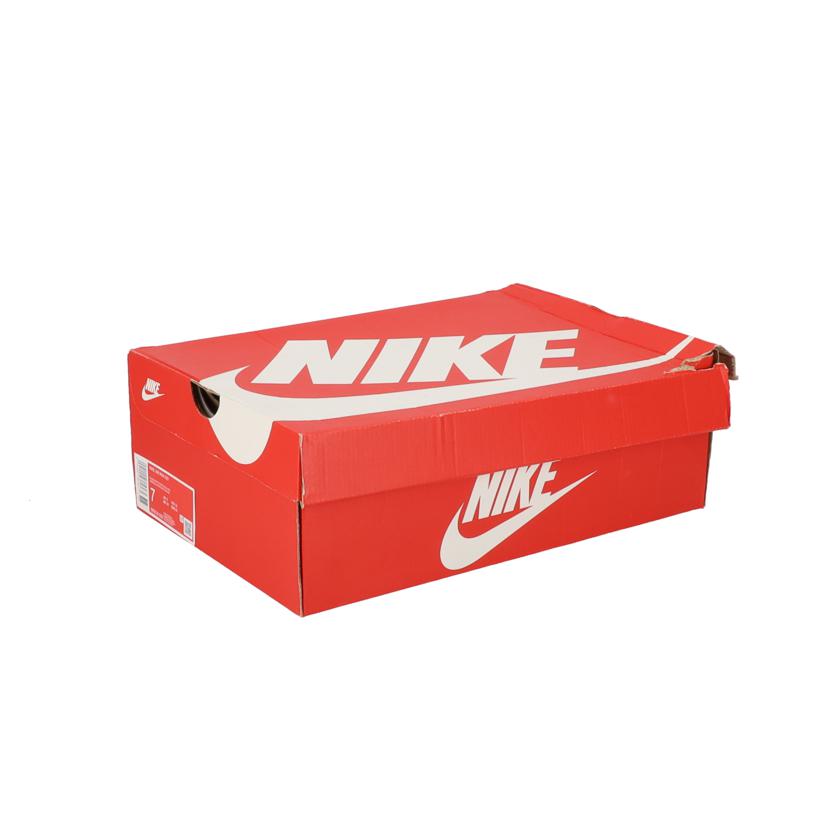 NIKE ナイキ/NIKE/ W.Air Max 2090/Easter /CZ1516-500//25.0cm/ABランク/03