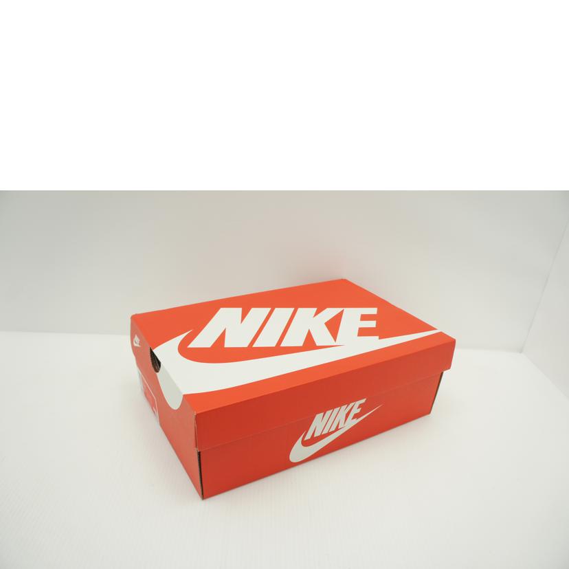 NIKE ナイキ/AIR MAX DN/DV3337-003//Aランク/09