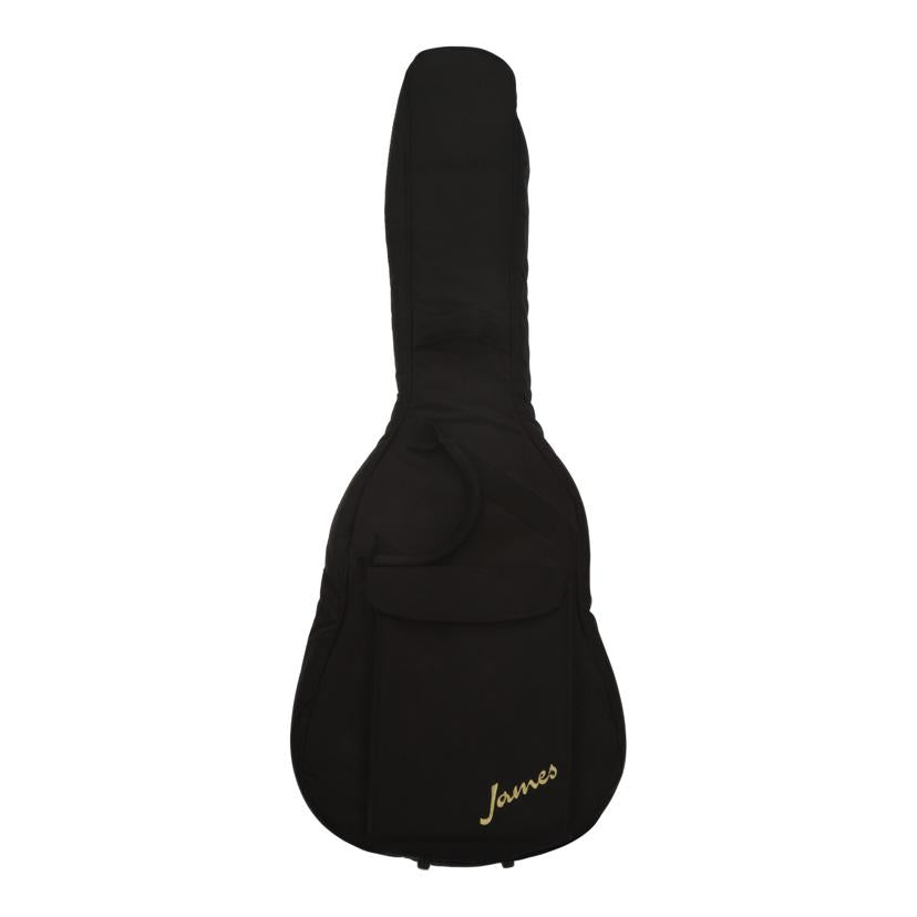 JAMES ジェームス/エレアコギター/JS600EARD//J11050733/Bランク/84