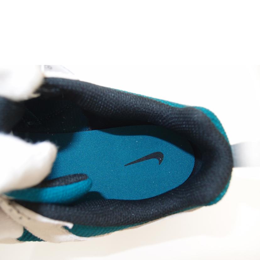 NIKE ナイキ/NIKE W TECH HERA/DR9761-110//Sランク/69