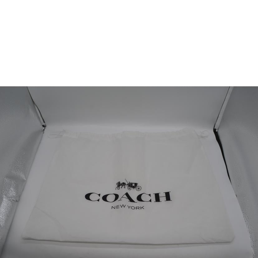 COACH コーチ/シグネチャーペブルレザーバケット/バスキアコラボ/C5787//F21**/Aランク/89